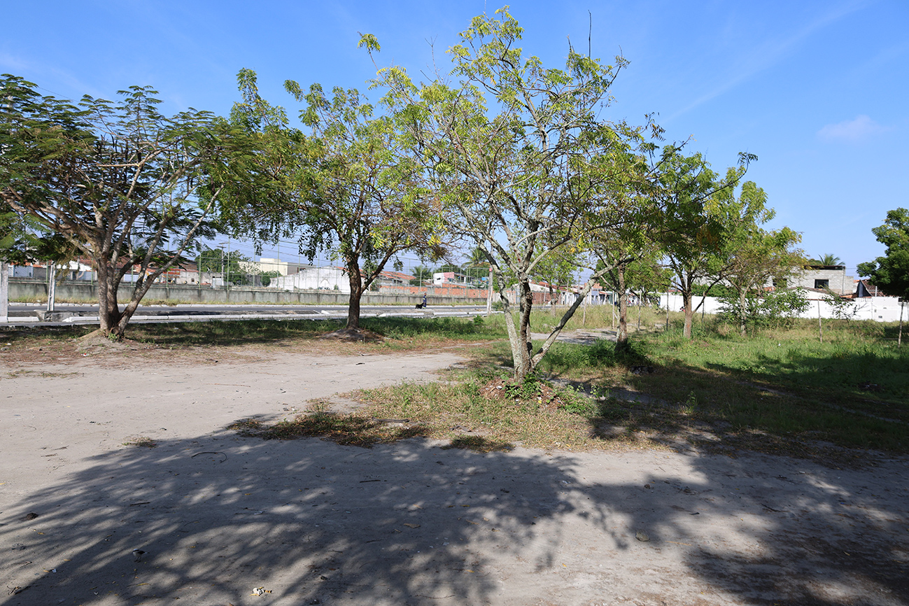 Foto: Reprodução/Prefeitura de Feira de Santana - BA